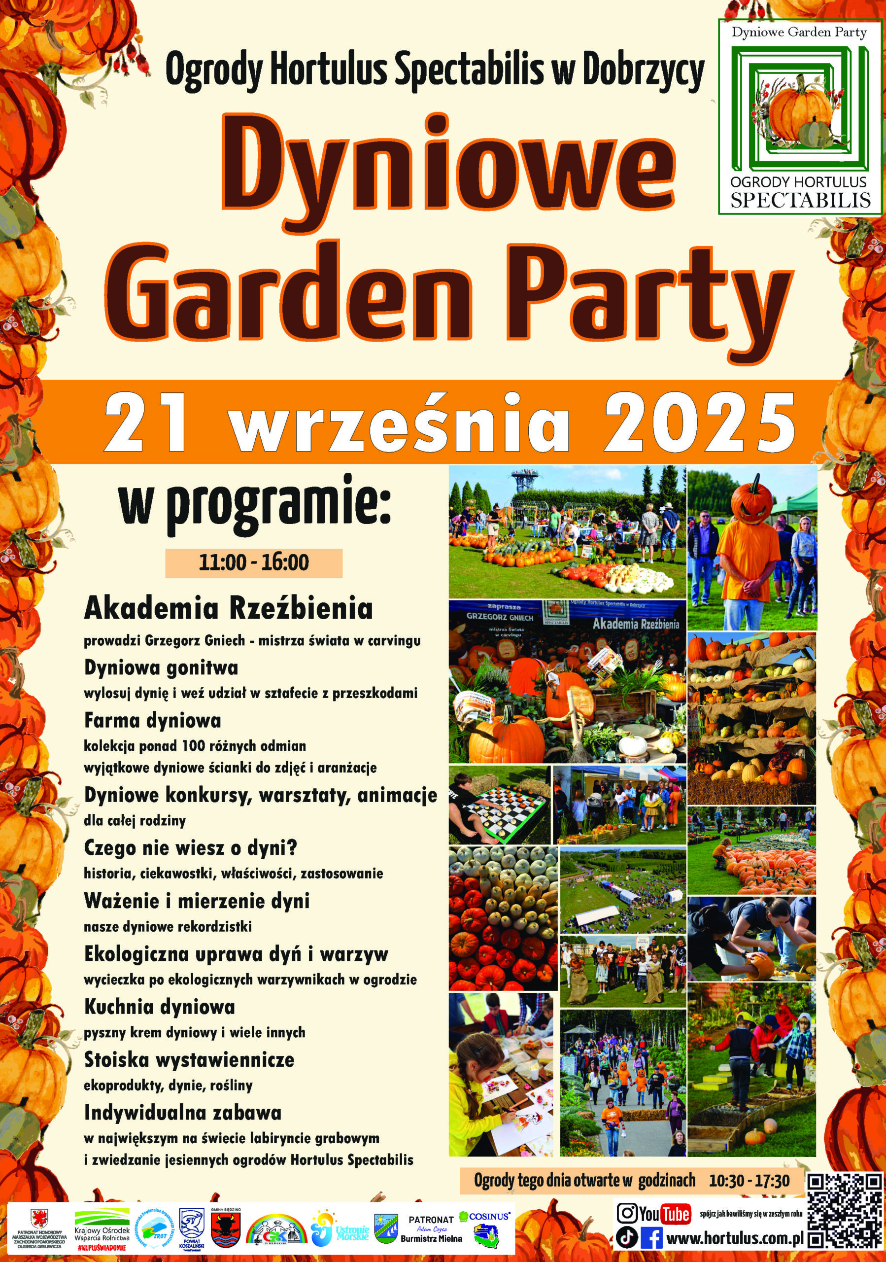 Automatycznie zapisany szkic przedstawiający pole dyni