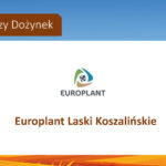 Europant Laski Koszalińskie sponsorem Dożynek Gminnych 2025.