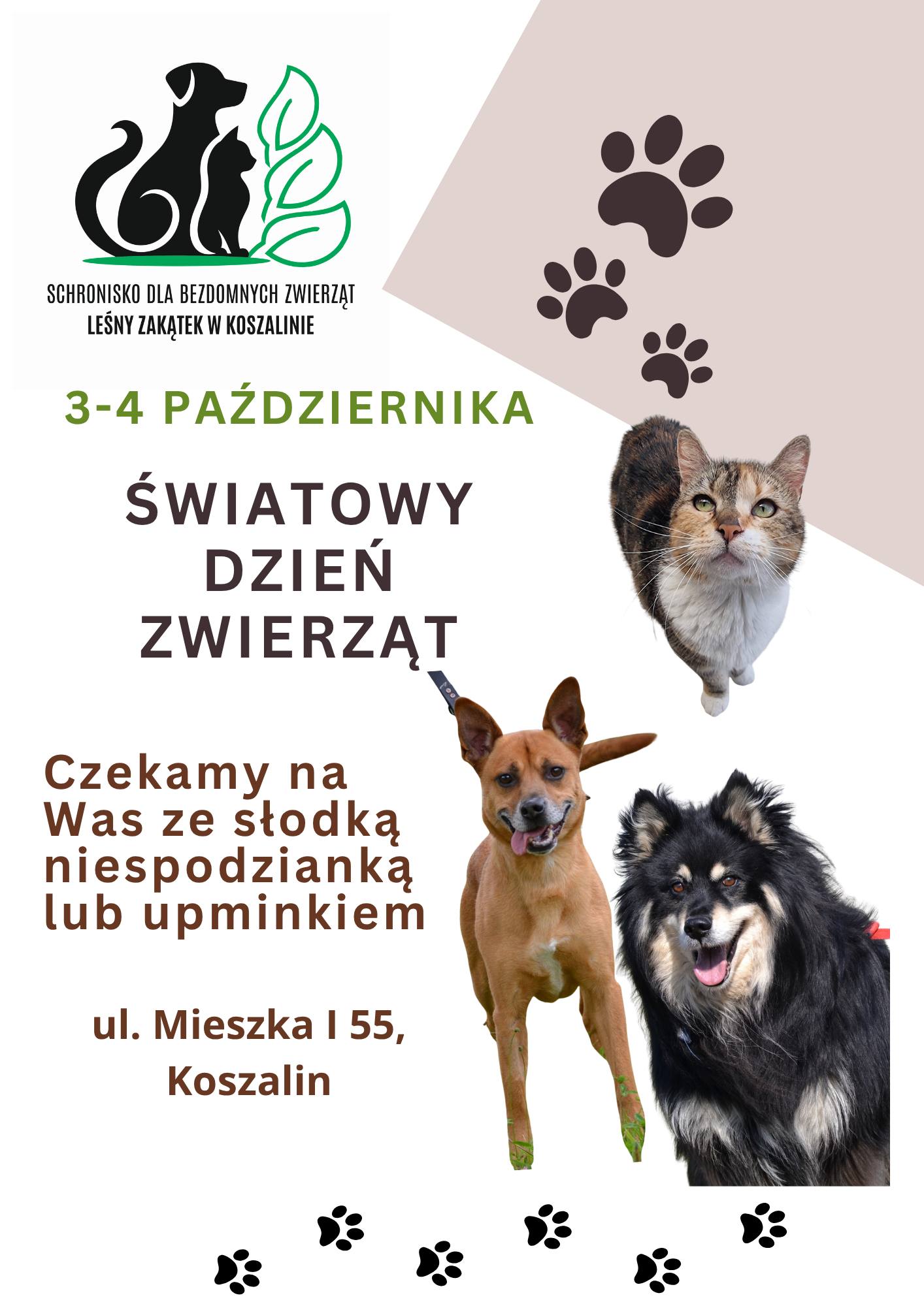 Plakat Światowy Dzień Zwierząt z kotem, dwoma psami i odciskami łap. 3-4 Października