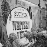 Baner na wydarzenie o tematyce westernowej z napisem „WESTERN”, kaktusami i wzorem kowbojskiego kapelusza. Seniorzy na Dzikim Zachodzie.