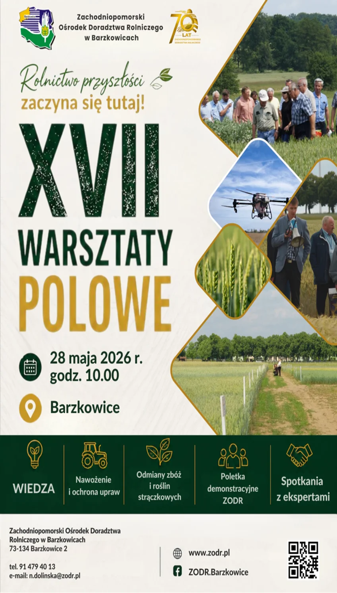 warsztaty polowe