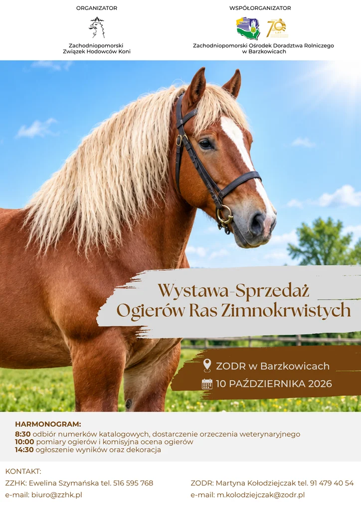 Wystawę Ogierów Zimnokrwistych
