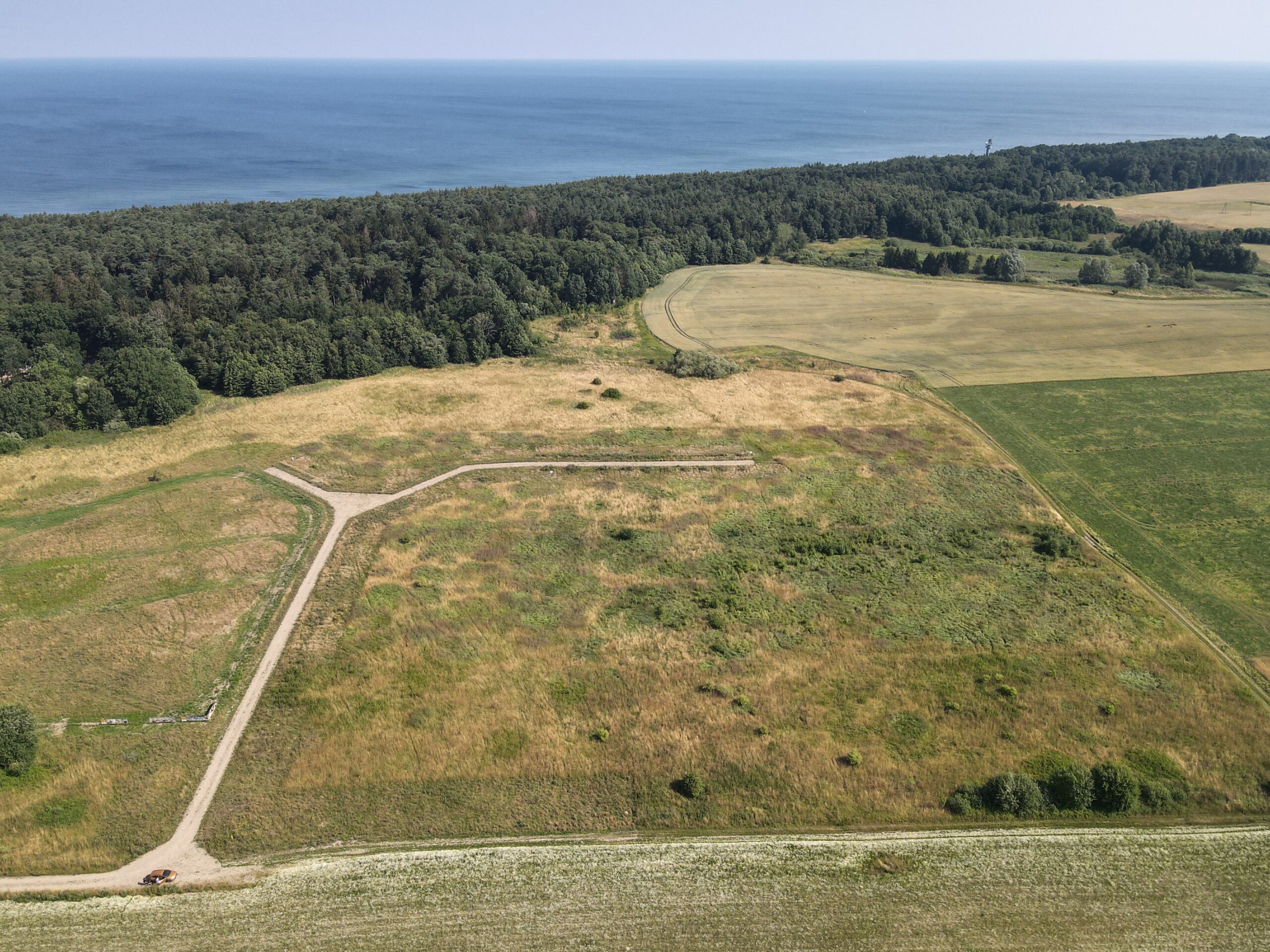 Pleśna